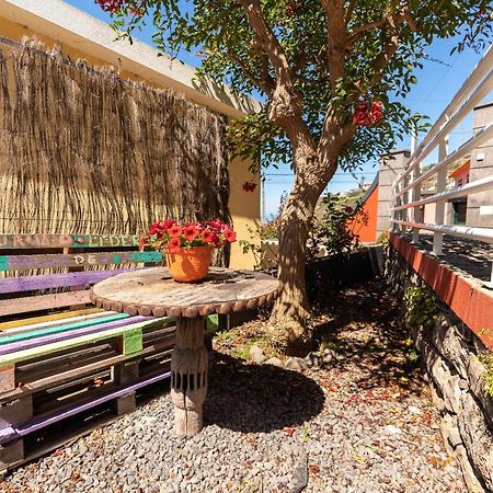 أركو دا كالهيتا Casa Das Camelias المظهر الخارجي الصورة